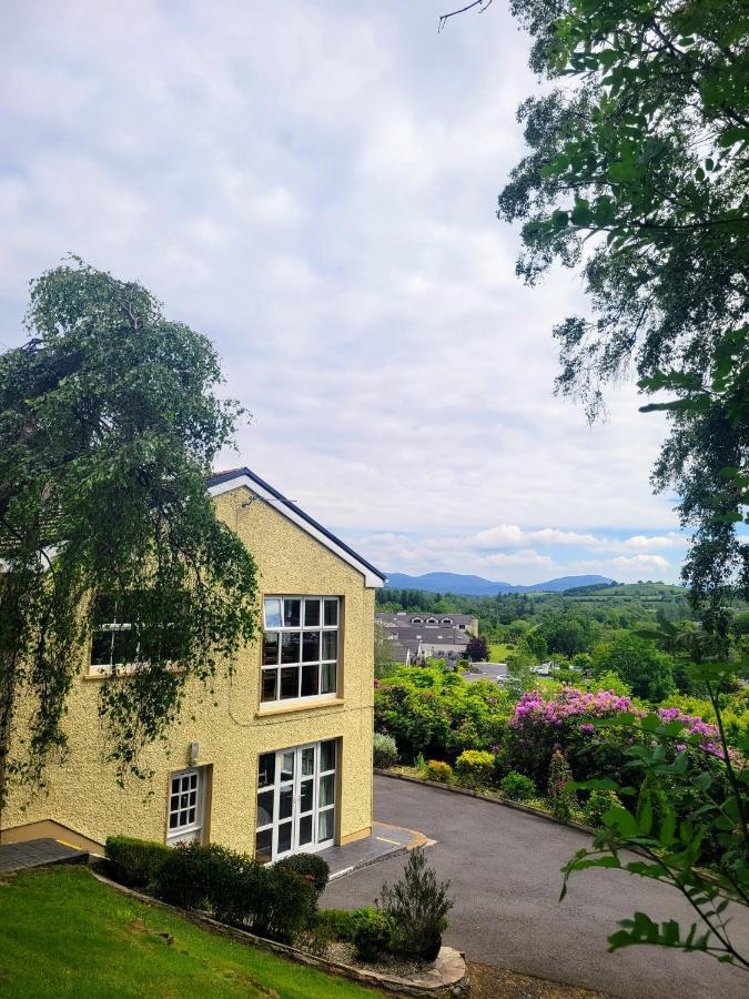 Spring Grove Guesthouse Donegal Town Bagian luar foto